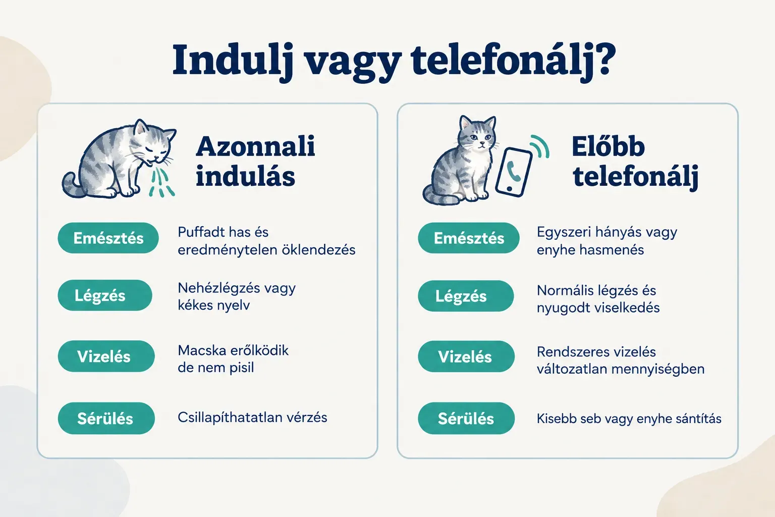 Comparison table, Indulj vagy telefonálj?. Emésztés, Azonnali indulás: Puffadt has és eredménytelen öklendezés; Előbb…