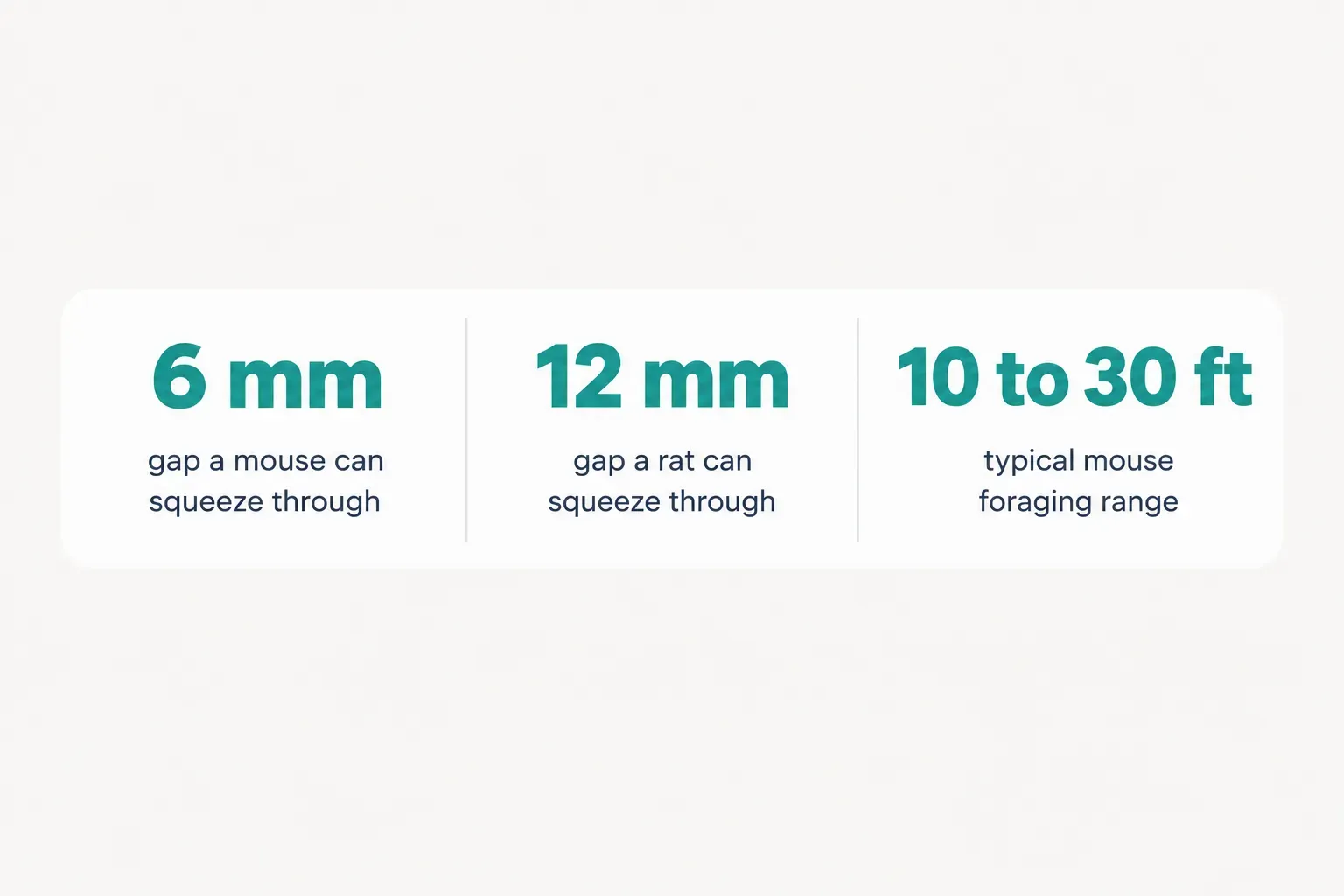 Statistics: 6 mm gap a mouse can squeeze through, 12 mm gap a rat can squeeze through, 10 to 30 ft typical mouse foraging…